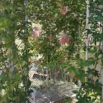 Вилла Diamond